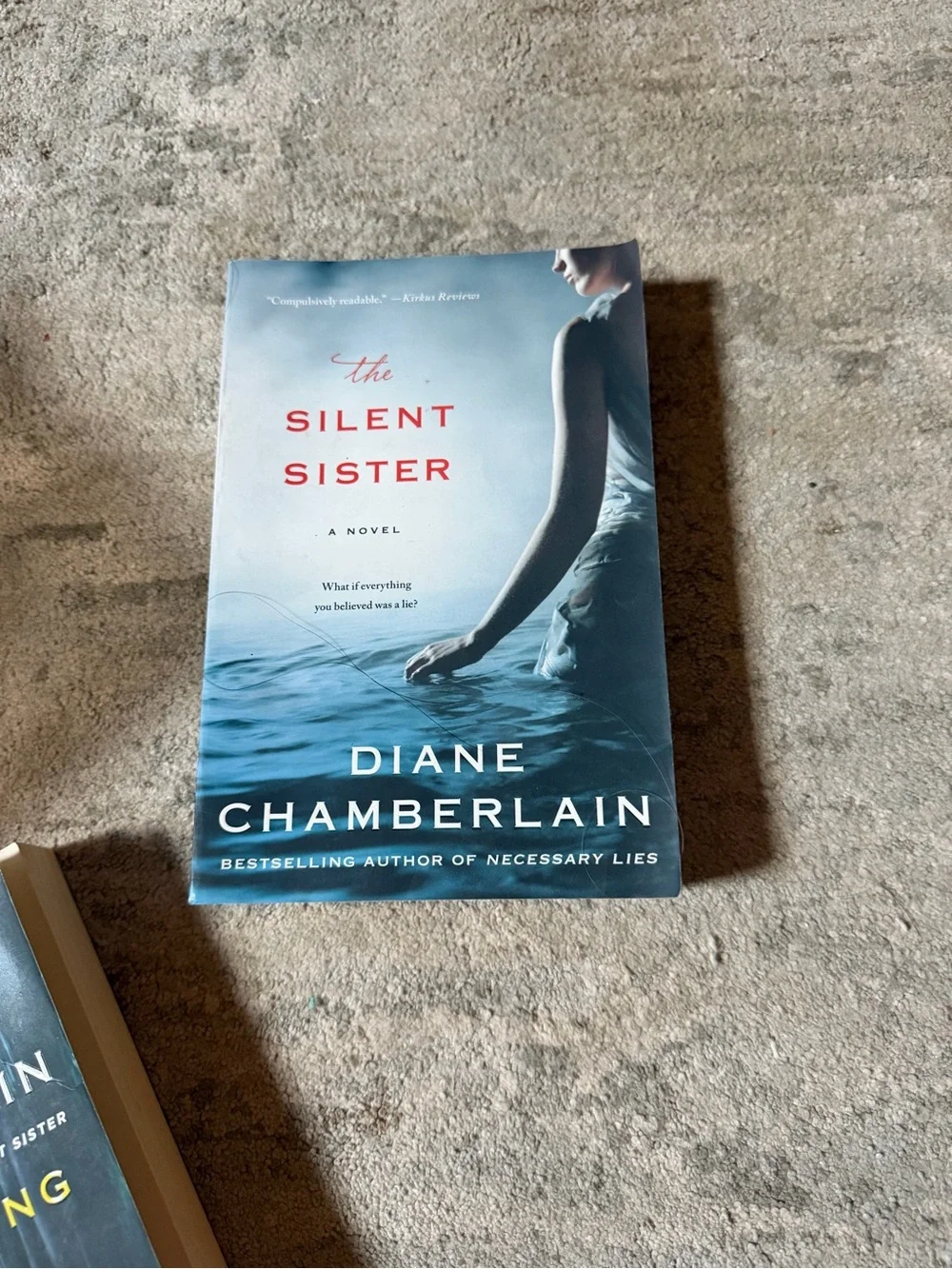 The Silent Sister by Diane Chamberlain - Blue Cover Paperback